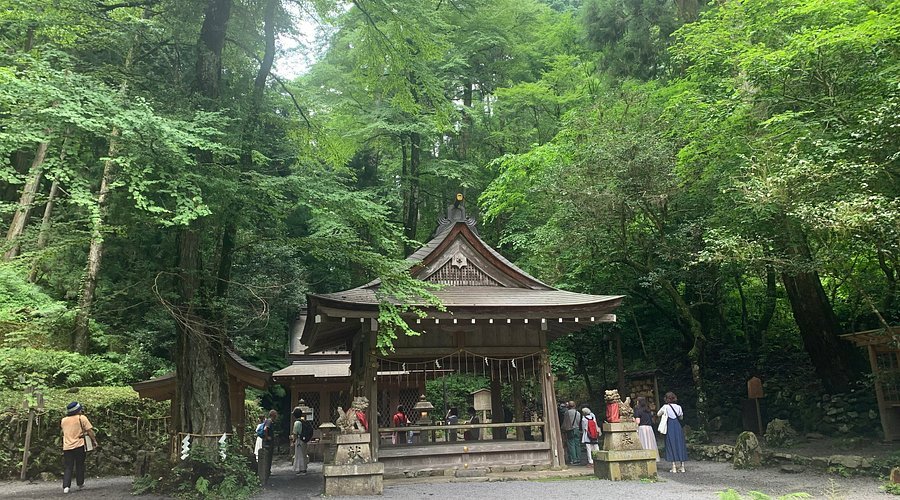 ⛩️ 미카와국 이치노미야 도가 신사 이미지 5